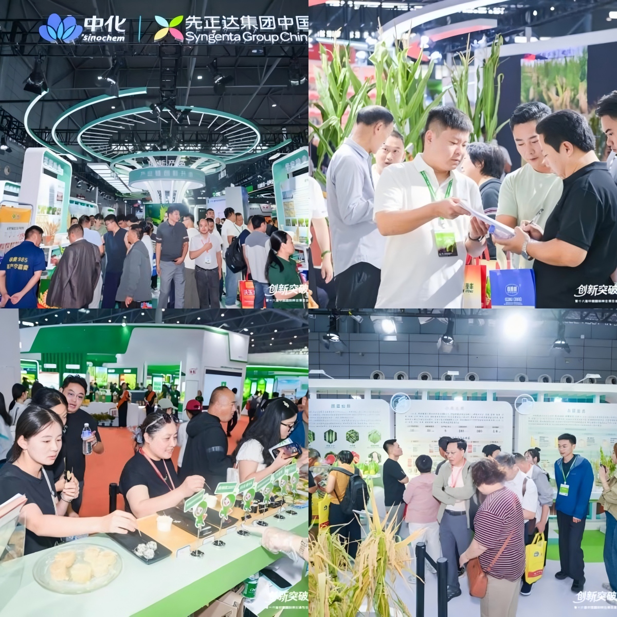 WPS拼图0.jpg