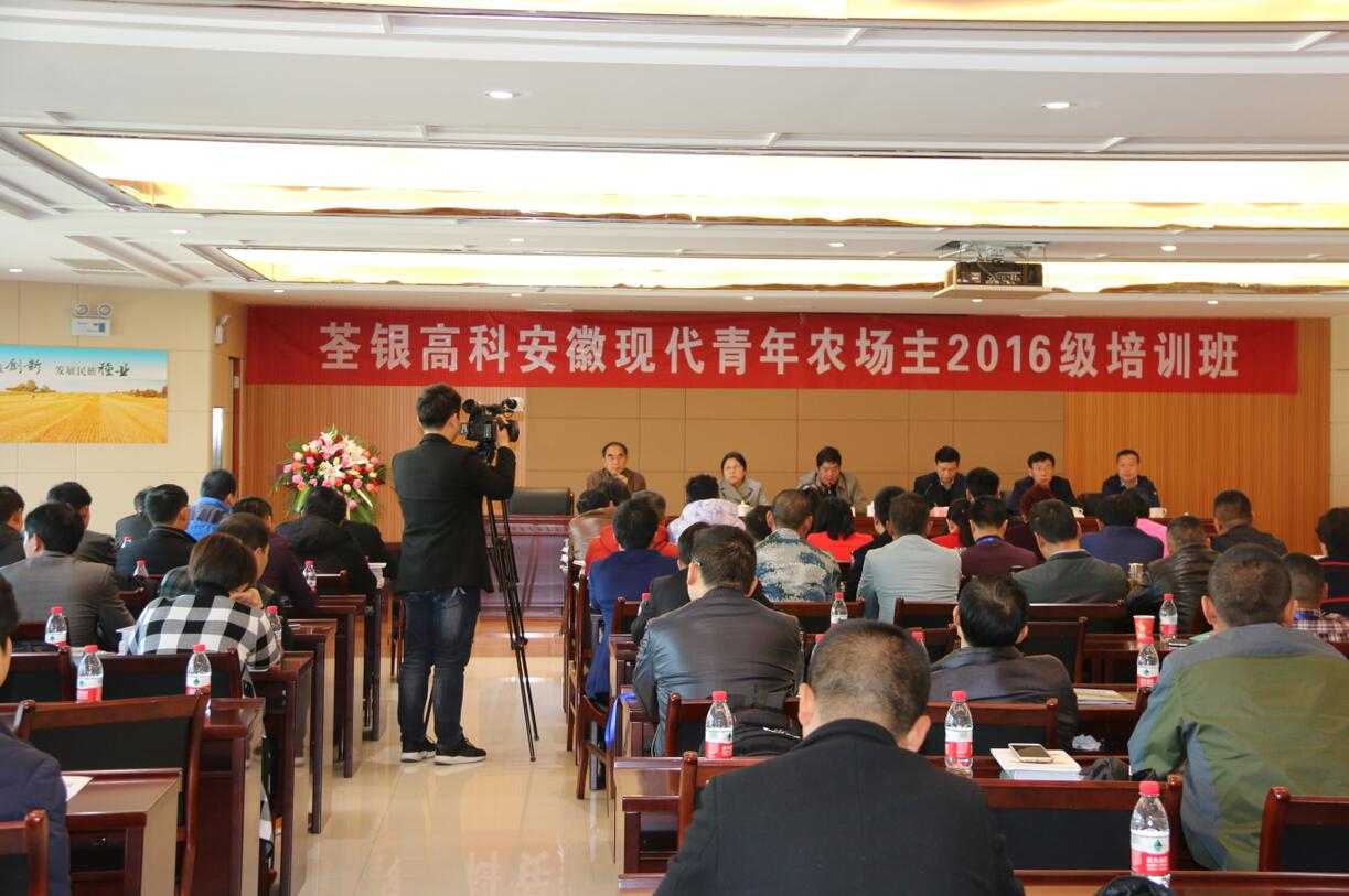 华人策略最新地址