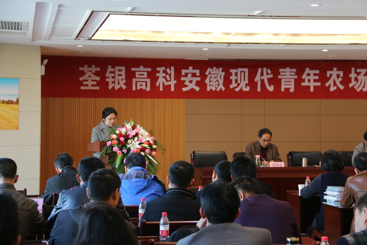 华人策略最新地址