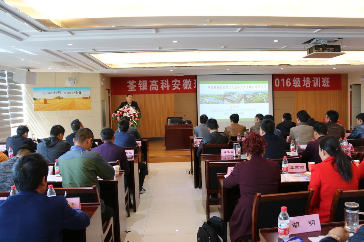 华人策略最新地址