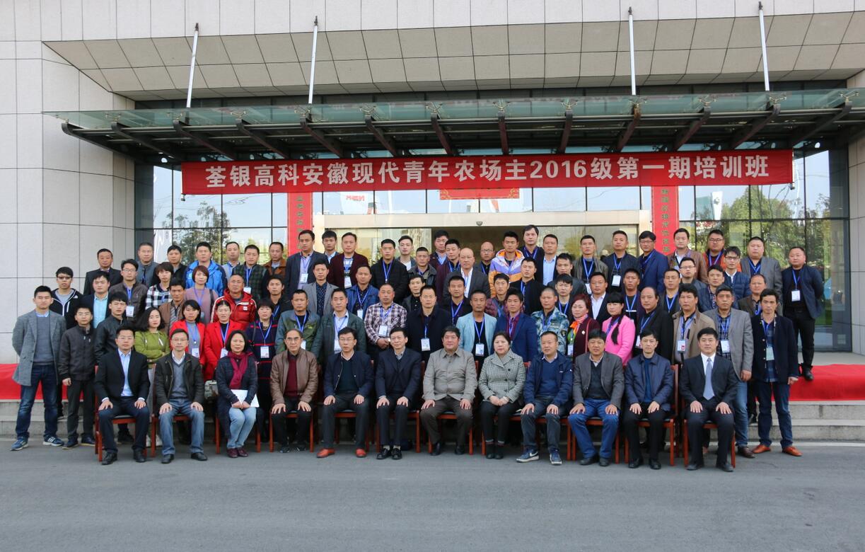 华人策略最新地址