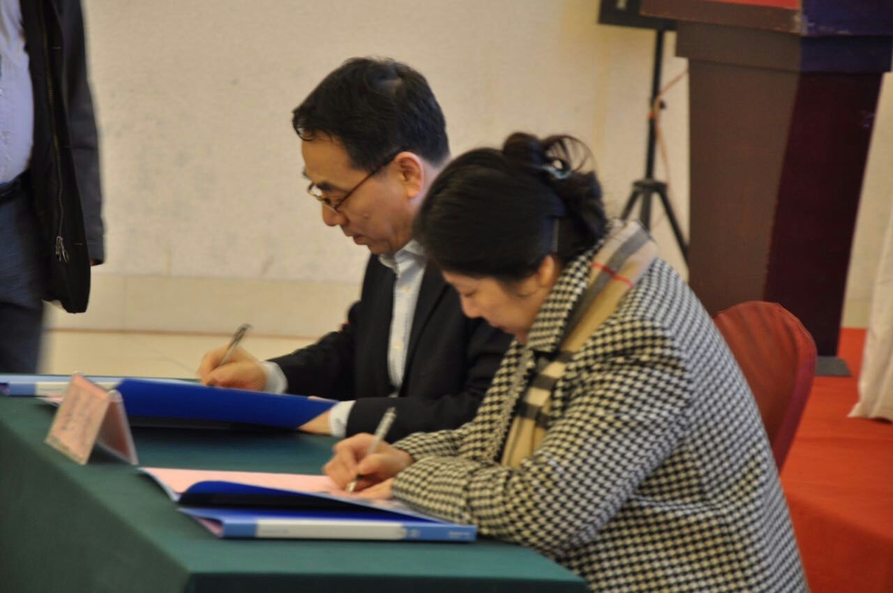 华人策略最新地址