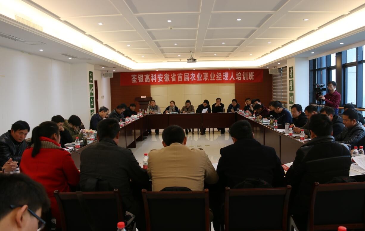 华人策略最新地址