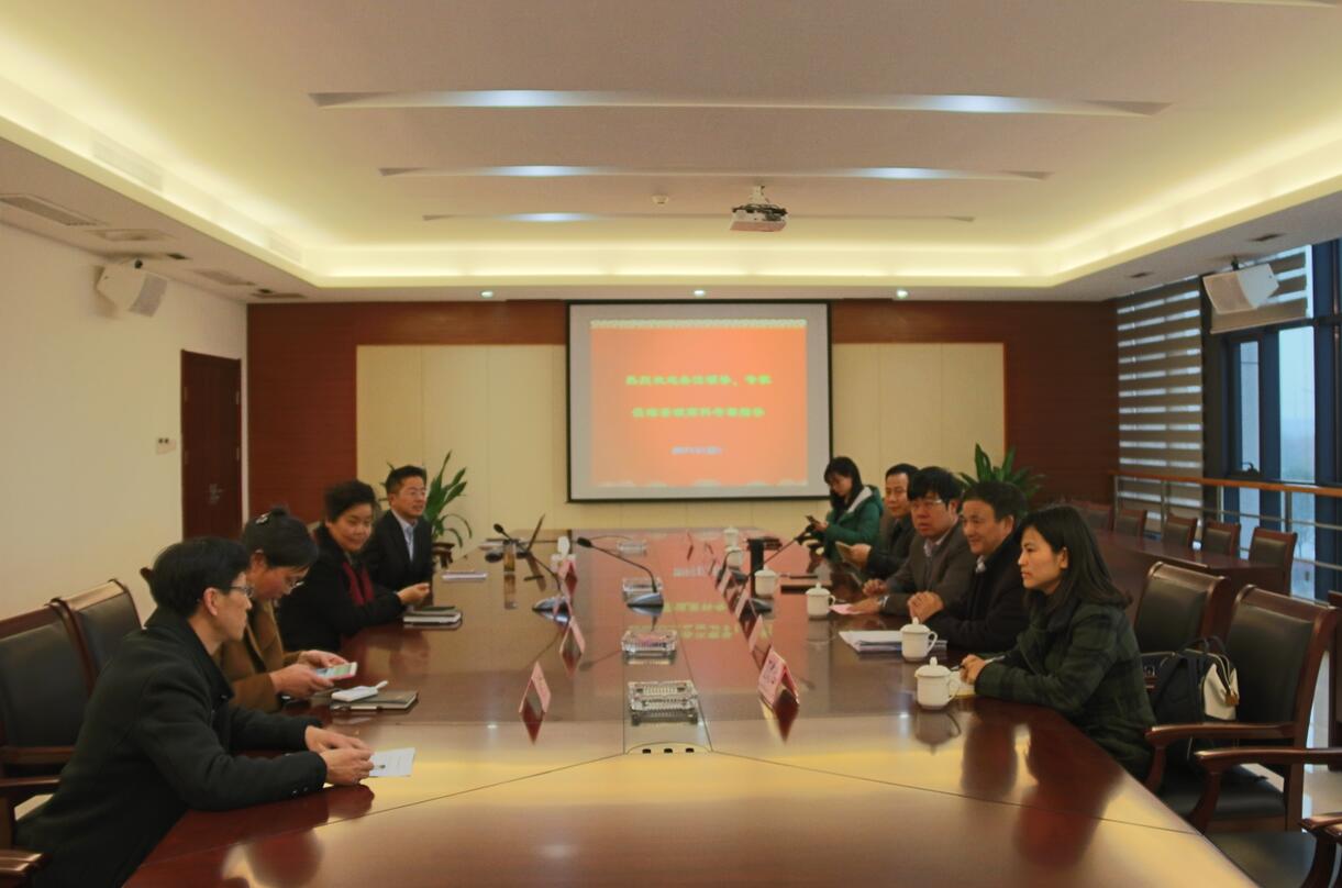 华人策略最新地址