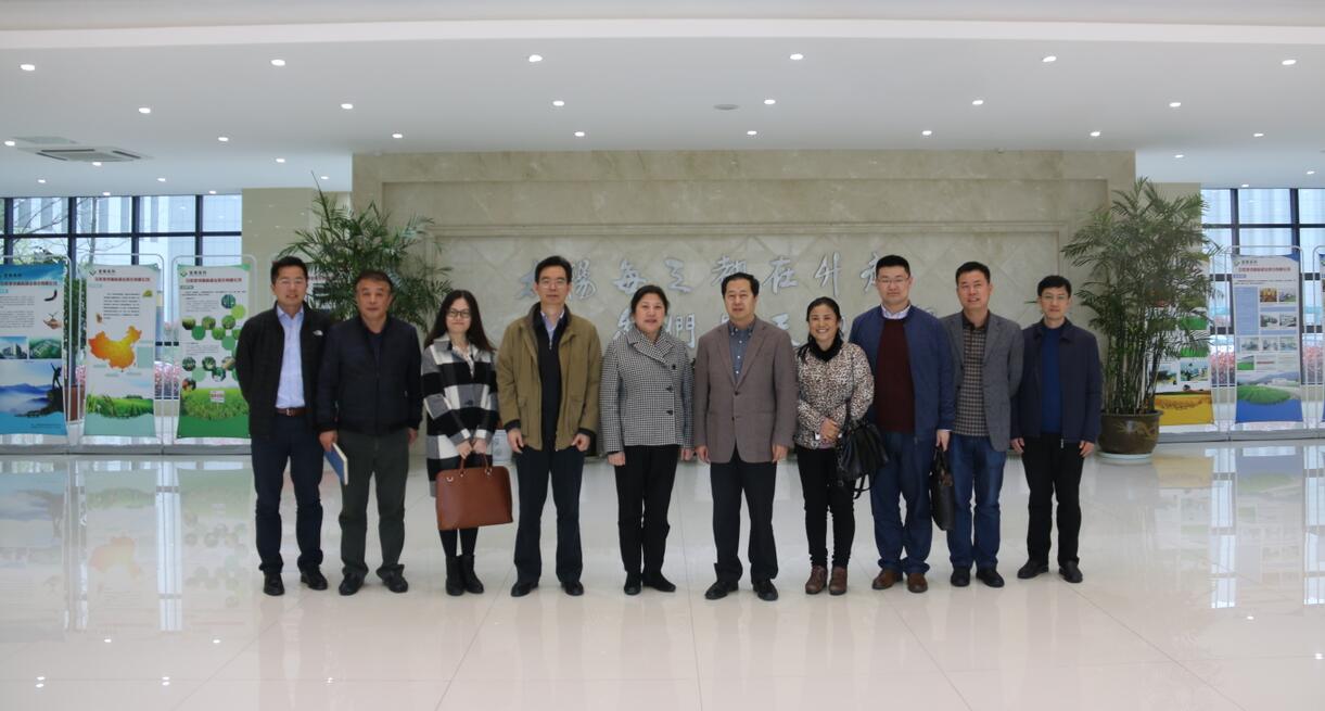 华人策略最新地址