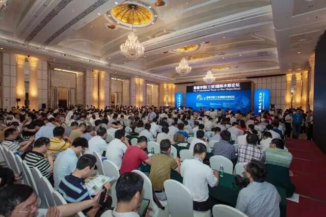 华人策略最新地址