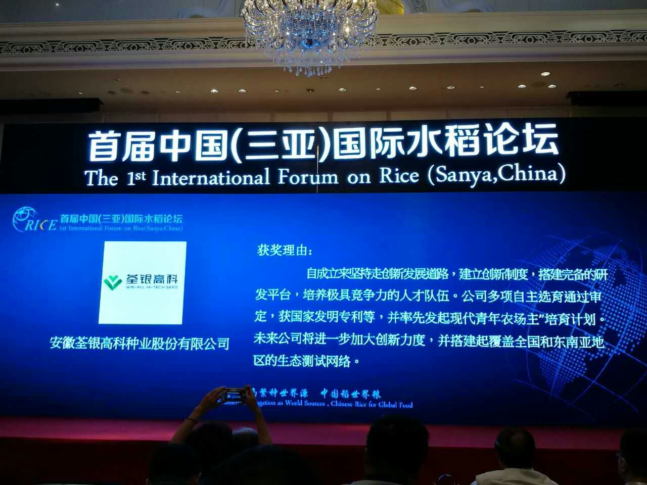 华人策略最新地址