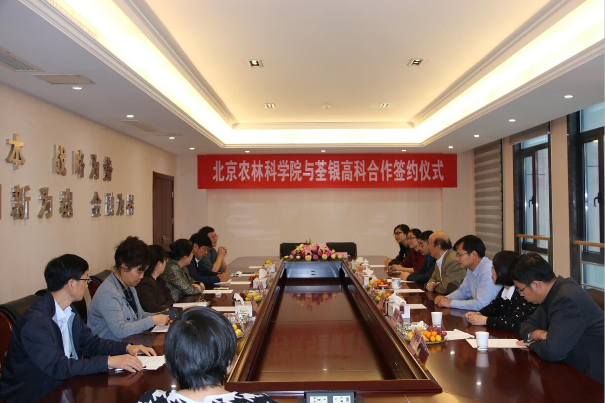 华人策略最新地址