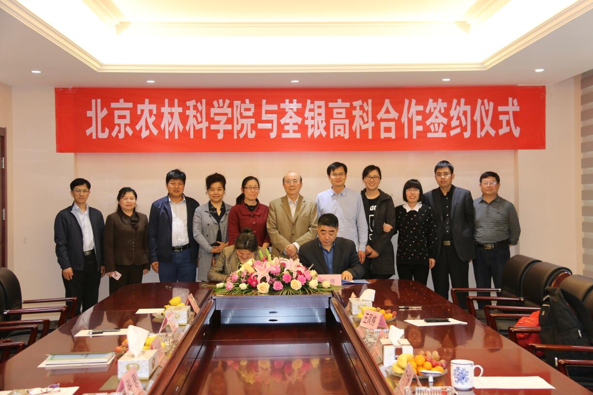 华人策略最新地址