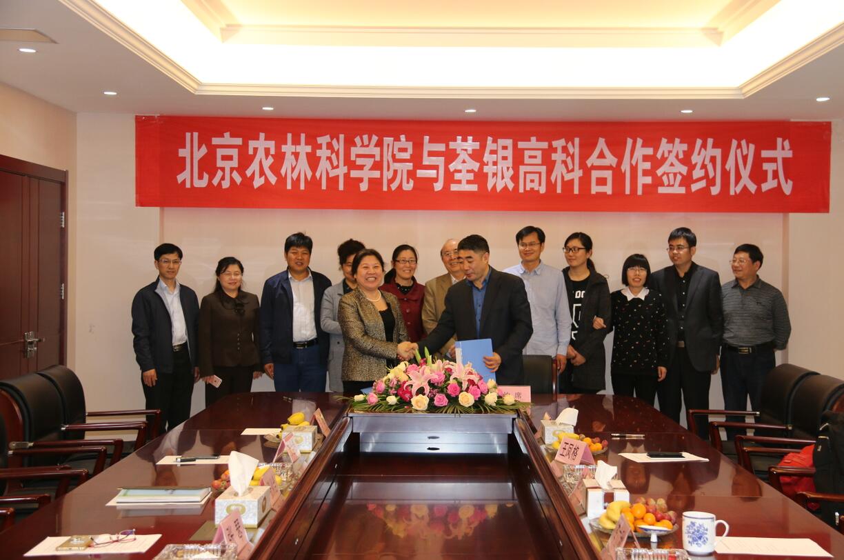 华人策略最新地址