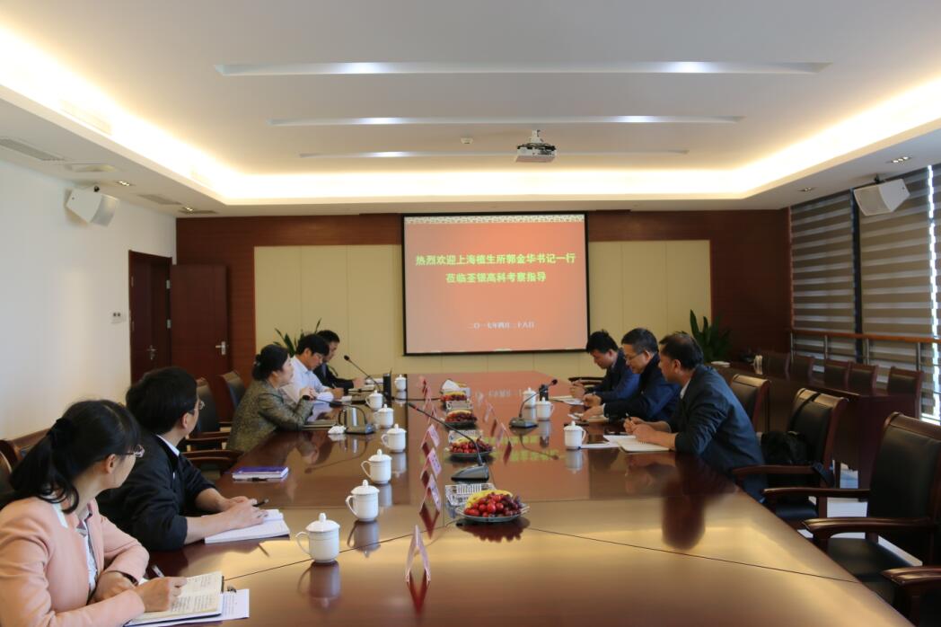 华人策略最新地址