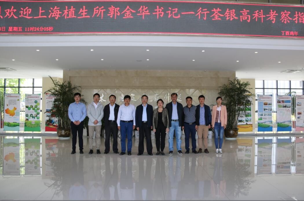 华人策略最新地址