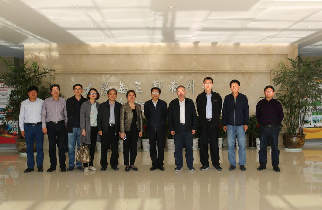 华人策略最新地址