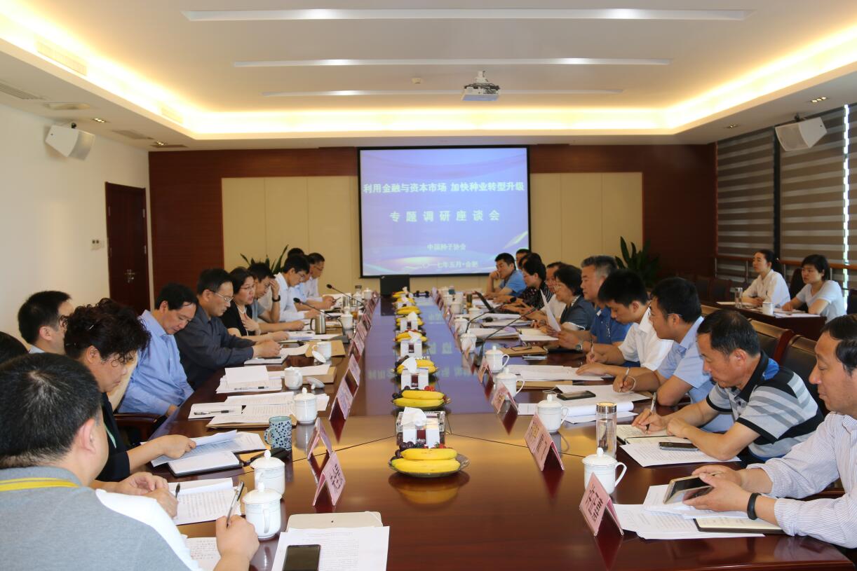 华人策略最新地址