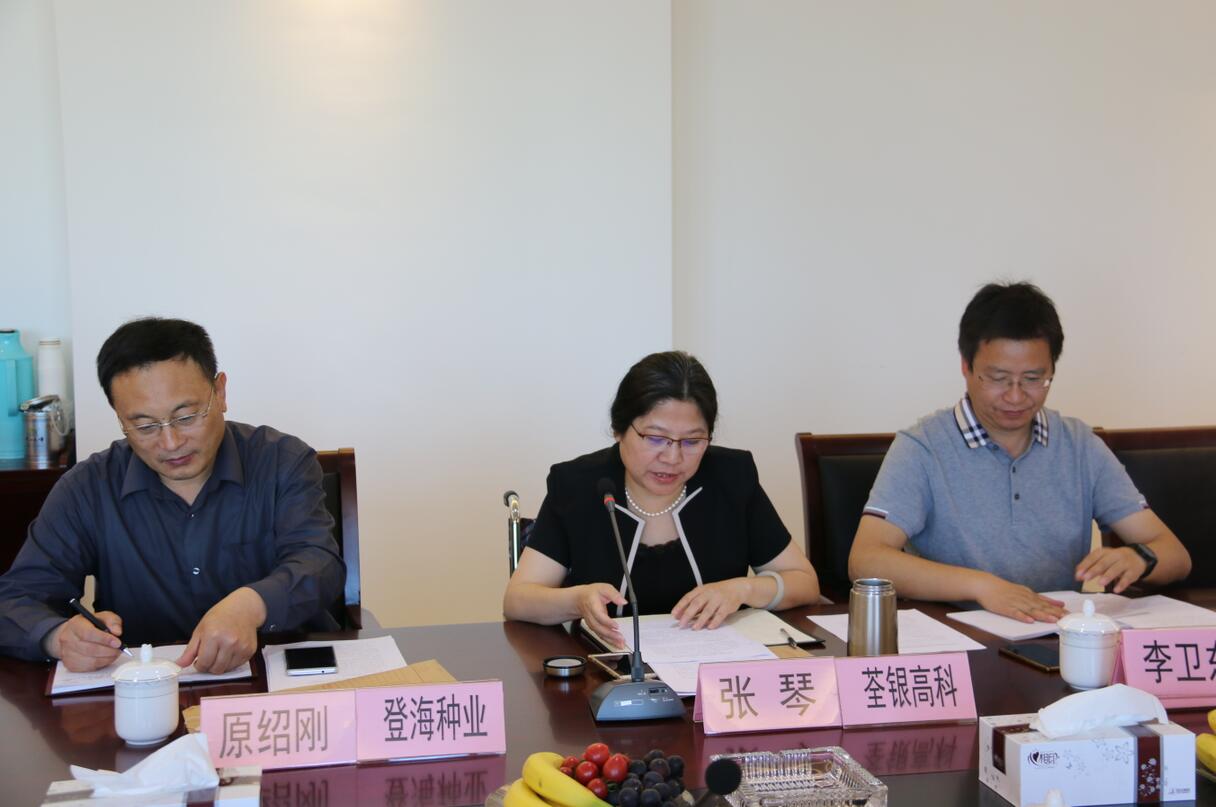 华人策略最新地址