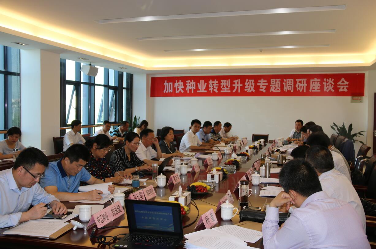 华人策略最新地址