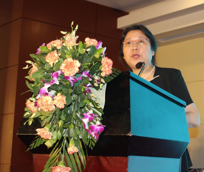 华人策略最新地址