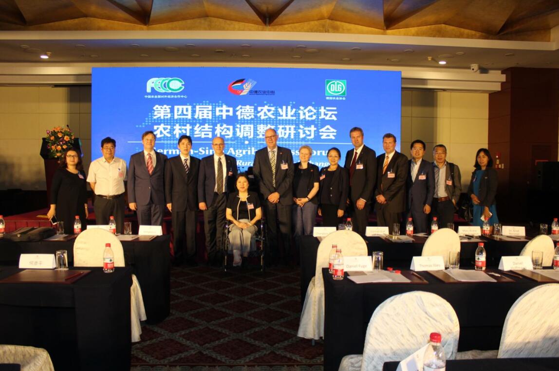 华人策略最新地址