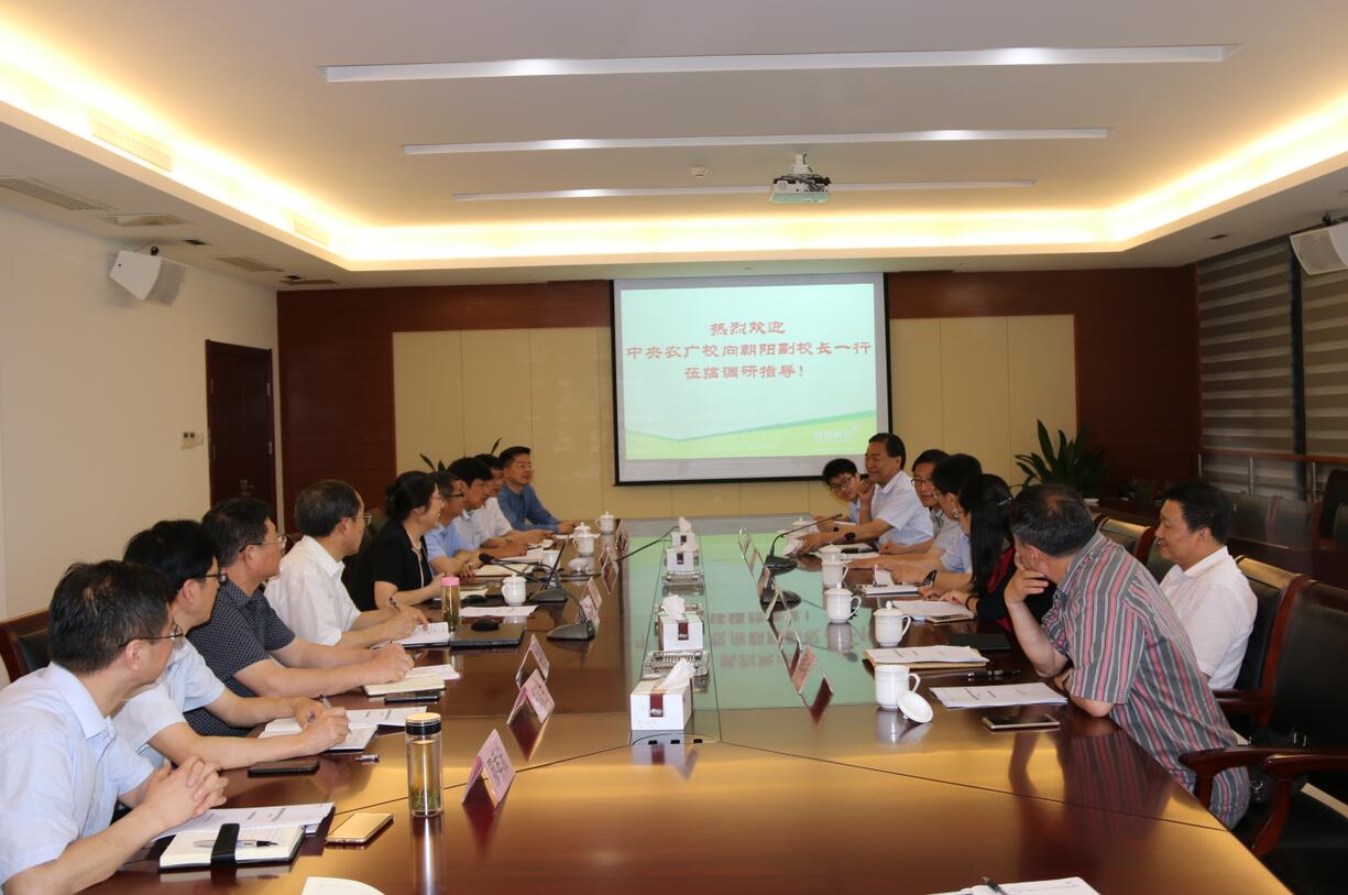 华人策略最新地址