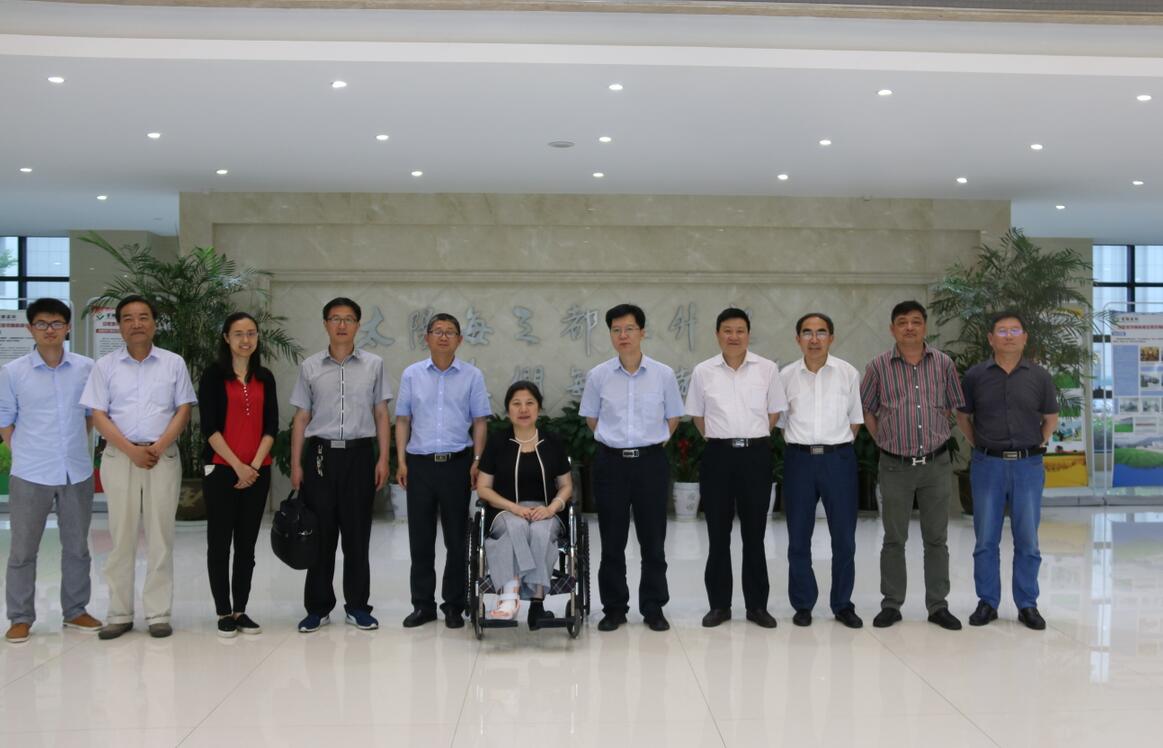 华人策略最新地址