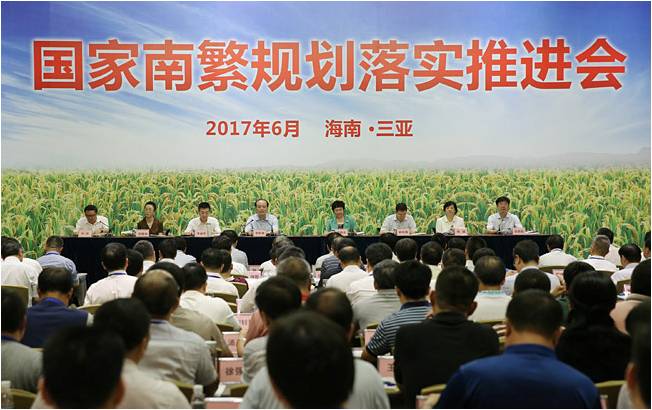 华人策略最新地址