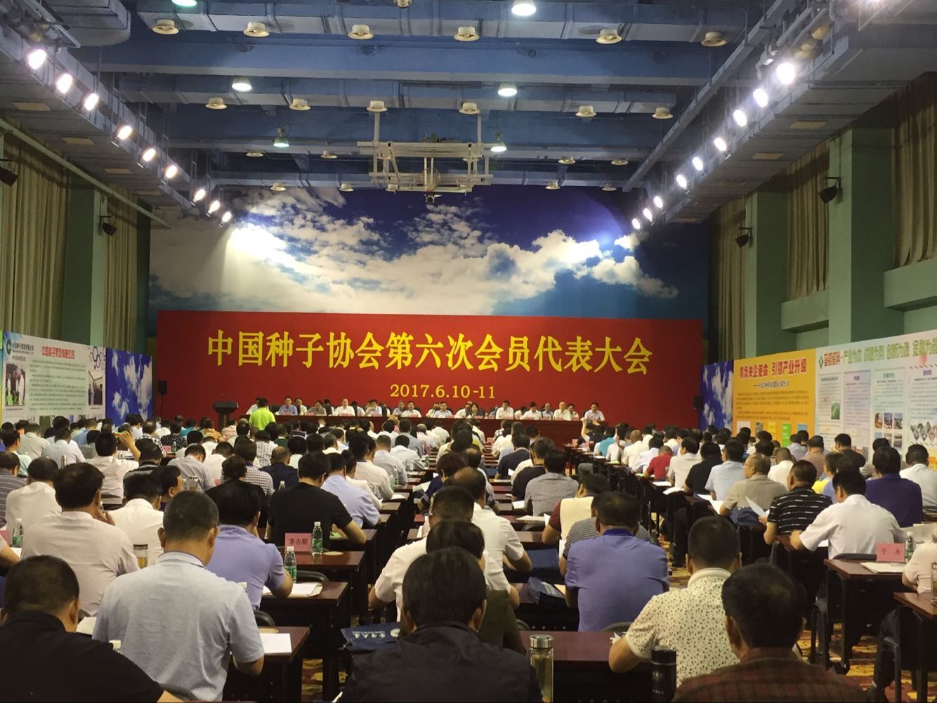 华人策略最新地址