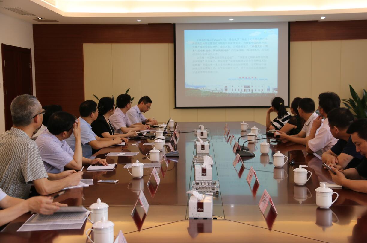 华人策略最新地址