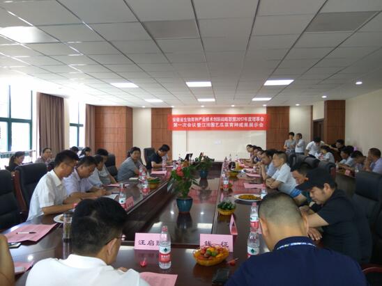 华人策略最新地址