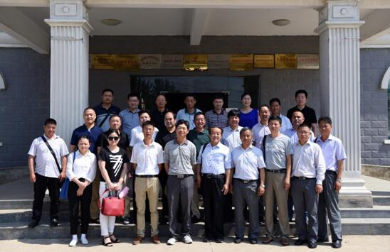 华人策略最新地址