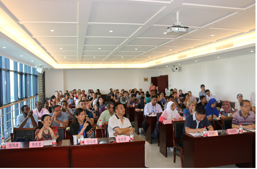 华人策略最新地址