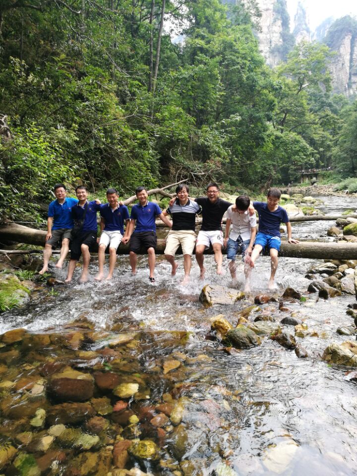 华人策略最新地址