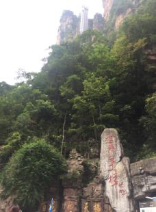 华人策略最新地址