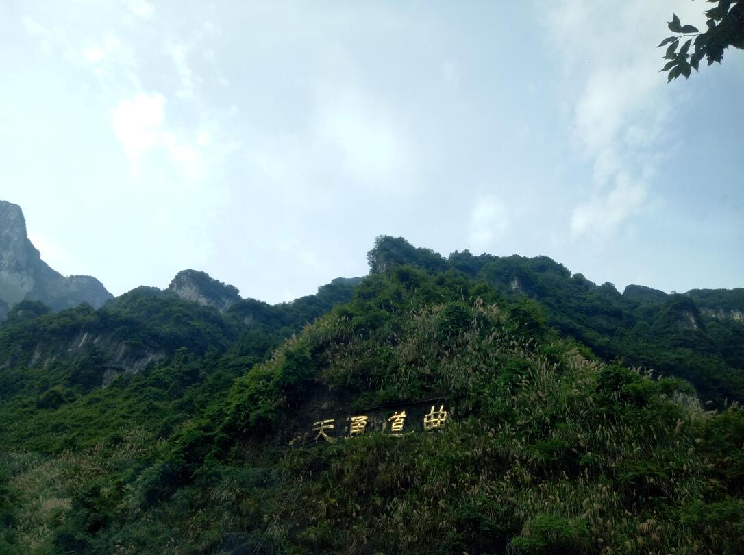 华人策略最新地址