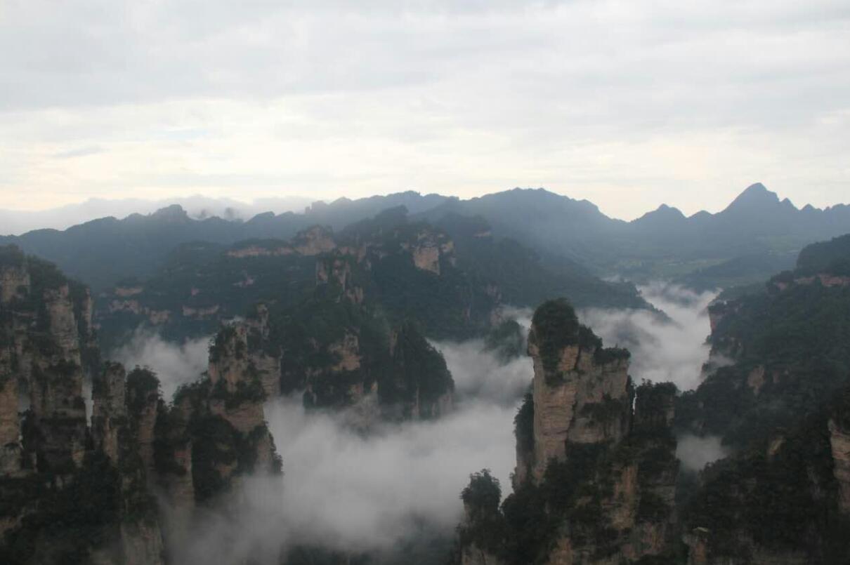 华人策略最新地址