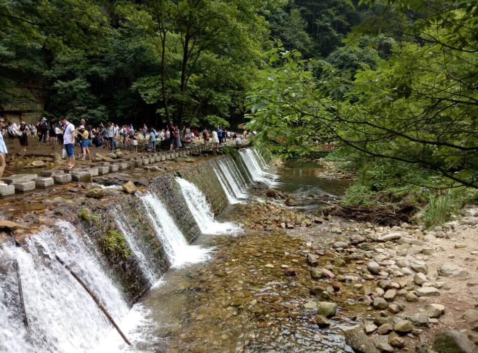 华人策略最新地址