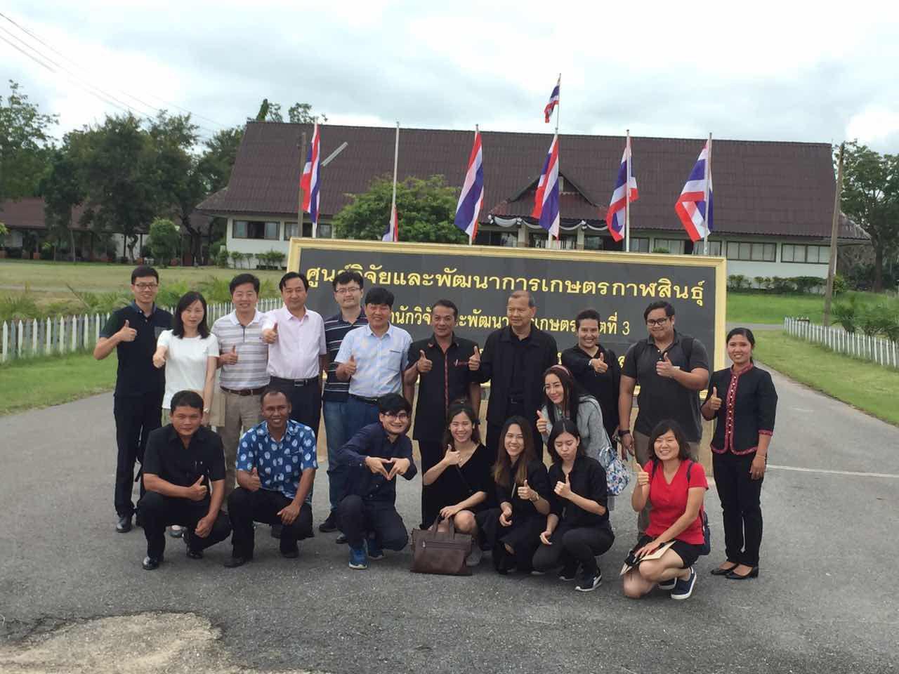 华人策略最新地址