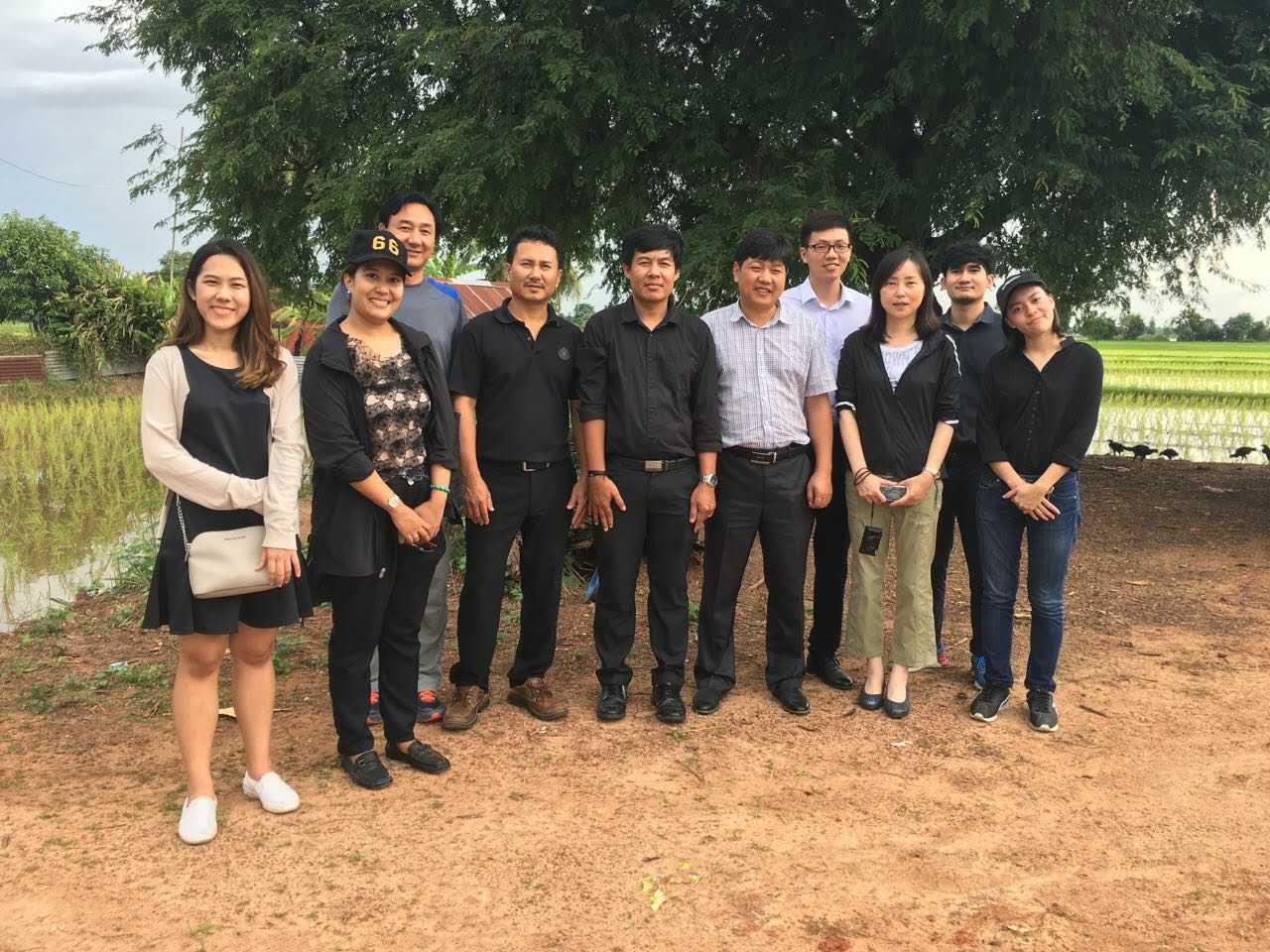 华人策略最新地址