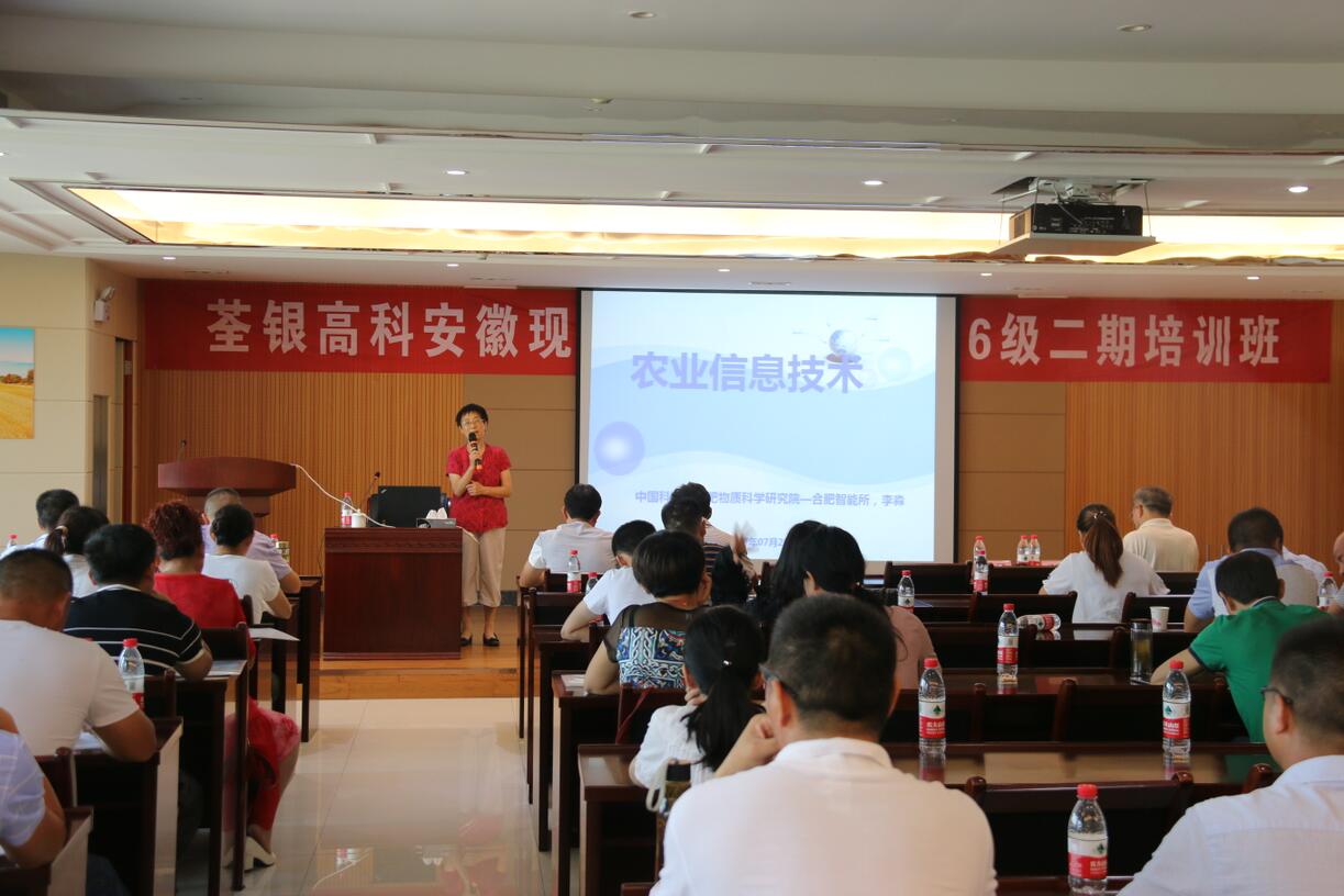 华人策略最新地址