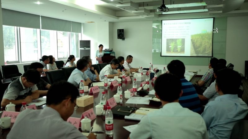 华人策略最新地址