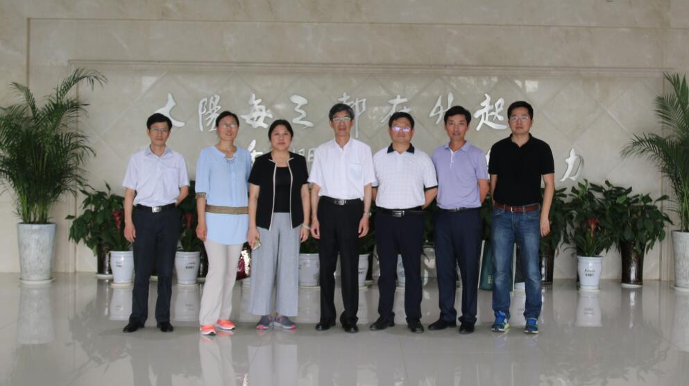 华人策略最新地址