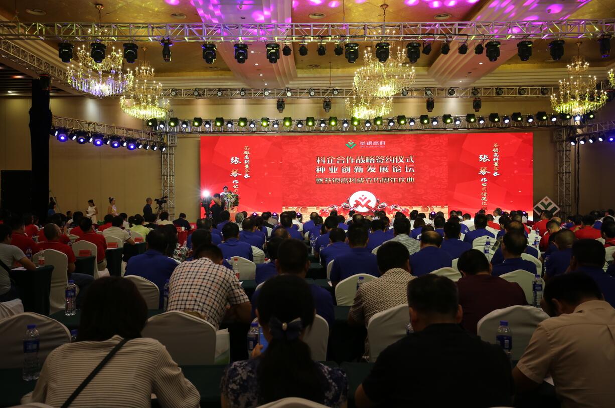 华人策略最新地址