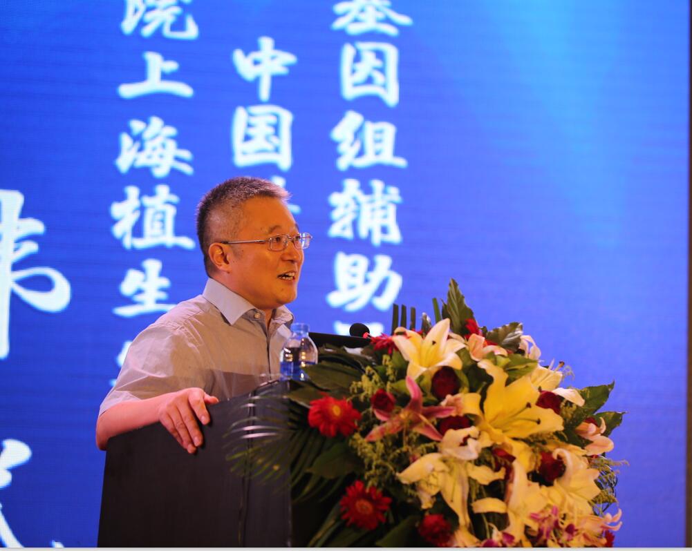 华人策略最新地址