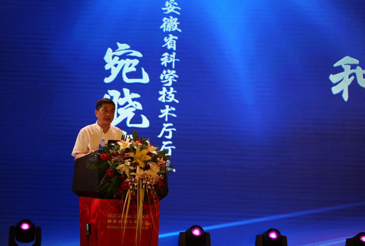 华人策略最新地址