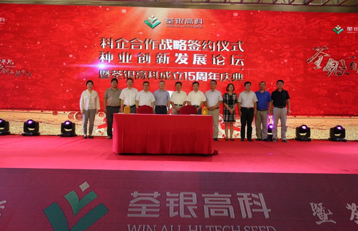 华人策略最新地址