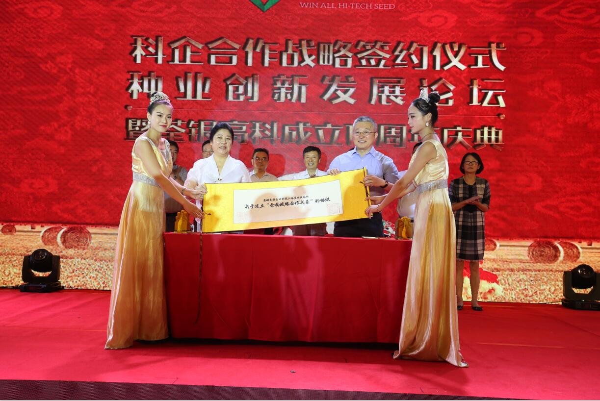 华人策略最新地址