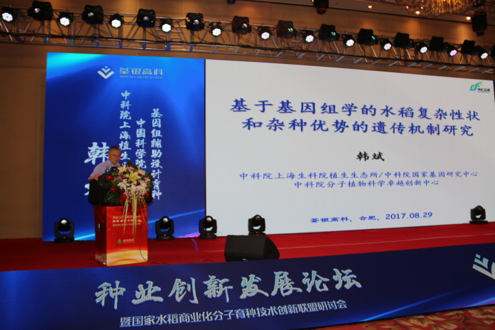 华人策略最新地址