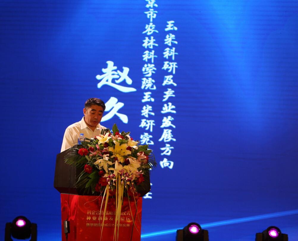 华人策略最新地址