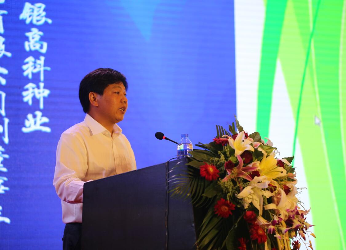 华人策略最新地址