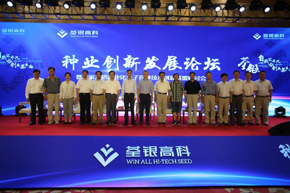 华人策略最新地址