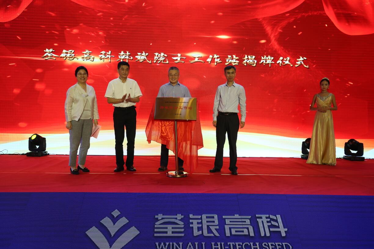 华人策略最新地址